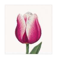 Набор для вышивания THEA GOUVERNEUR арт.517 "Сиреневый тюльпан"