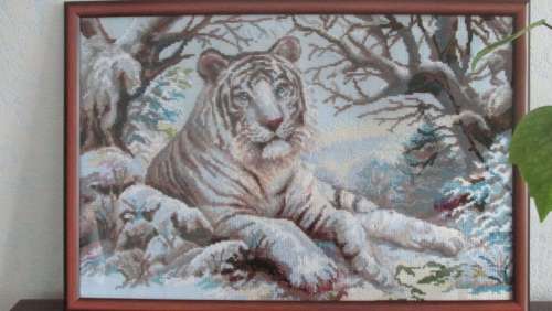 Продам картину Риолис бенгальский тигр
