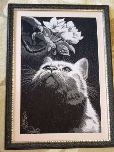 Вышивка ручной работы " Кот с магнолией"