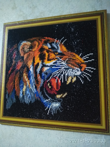 Картина " бенгальский тигр" 40*40