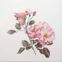 Набор для вышивания "Thea Gouverneur" арт.412 Розовая роза