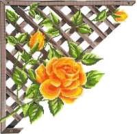 Набор для вышивания мулине НИТЕКС арт. nitex.0249 Ветвистая желтая роза