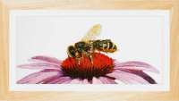 Набор для вышивания THEA GOUVERNEUR арт.549A "Пчела на эхиноцее"