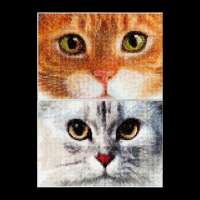 Набор для вышивания  THEA GOUVERNEUR арт.540A "Два котенка"