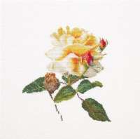 Набор для вышивания THEA GOUVERNEUR арт. gouverneur.416 "Цветение белой розы"