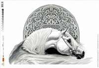 Набор для вышивания мулине НИТЕКС арт. nitex.2333 Белый конь