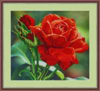 Набор для вышивания бисером GALLA COLLECTION арт. Л 312 Красная роза