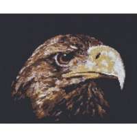 Набор для вышивания Палитра арт. 02.003 Взгляд орла