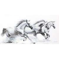 Набор для вышивания крестом LUCA-S Арт: lucas.B495 Белые лошади 