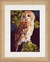 Набор для вышивания LANARTE  арт. lanarte.PN-0146814 "Owl"