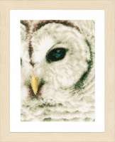 Набор для вышивания LANARTE арт. lanarte.PN-0163781 "Owl"