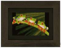 Набор для вышивания VERVACO арт. vervaco.PN-0146866 "Красноглазые древесные лягушки"
