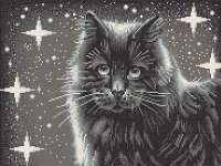 Рисунок на ткани КОНЁК арт. konek.7803 Черный кот