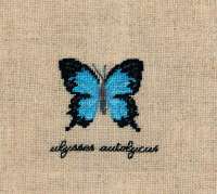 Набор для вышивания LE BONHEUR DES DAMES арт.3628 "Papillons Ulysses Autolycus" (бабочка Ulysses Autolycus)