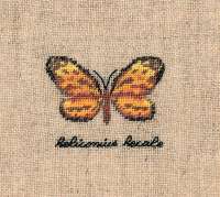 Набор для вышивания LE BONHEUR DES DAMES арт bonheur.3626 "Papillon : Heliconius" (бабочка Heliconius)