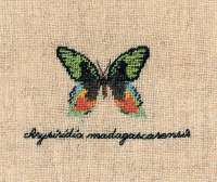 Набор для вышивания LE BONHEUR DES DAMES  арт.3624 "Papillon : Chrysiridia" (бабочка Chrysiridia)