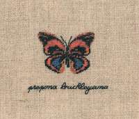 Набор для вышивания LE BONHEUR DES DAMES  арт bonheur.3629 "Papillon Prepona Buckleyana" (бабочка Prepona Buckleyana)