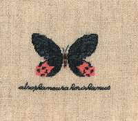 Набор для вышивания LE BONHEUR DES DAMES  арт bonheur.3625 "Papillon : Atrophaneura"( бабочка Atrophaneura)