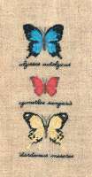 Набор для вышивания LE BONHEUR DES DAMES арт bonheur.3627 "Papillons : ulysses autolycus, cymothoe sangaris, dardanus" (бабочки)