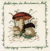 Набор для вышивания LE BONHEUR DES DAMES арт.1682 "Bolet cepe de bordeaux" (белый гриб)