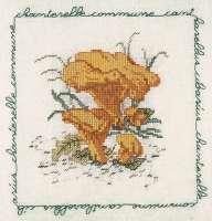 Набор для вышивания LE BONHEUR DES DAMES арт bonheur.1684 "Chanterelle commune" (лисичка)