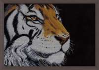 Набор для вышивания DESIGN WORKS арт dworks.2929 "Оранжевый тигр"