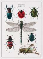 Набор для вышивания THEA GOUVERNEUR арт.gouverneur.566 "История насекомых"