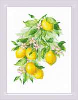 Набор для вышивания РИОЛИС арт. riolis.2054 Яркие лимоны