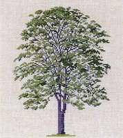 Набор для вышивания Haandarbejdets Fremme арт.30-6025 "Дерево"