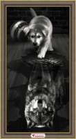 "Алмазная живопись" арт.АЖ.1870 "Волк внутри"