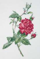 Набор для вышивания Klart арт.8-531 Ботаника. Роза