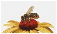Набор для вышивания Thea Gouverneur арт.585A "Пчела на желтом цветке"