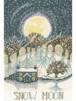 Набор для вышивания BOTHY THREADS XDD4 Snow Moon