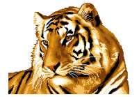Набор для вышивания мулине НИТЕКС арт.2151 Тигр