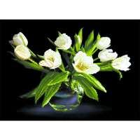 Рисунок на шелке МАТРЕНИН ПОСАД арт.37х49 - 4077 Белые тюльпаны