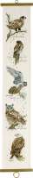 Набор для вышивания панно PERMIN арт. 35-8130 Хищная птица