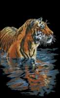 Набор для вышивания DIMENSIONS арт.DMS.35222 Купающийся тигр