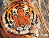 Набор для вышивания арт.Алиса - 108 Б "Тигр"