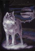 Набор для вышивания Панна Ж-0462 "Белый волк"