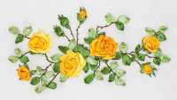 Набор для вышивания Панна Ц-1089 (C-1089) "Желтые розы"